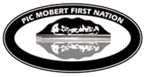 PMFN-LOGO-300x158 PMFN-LOGO-300x158